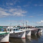 <p align="left">Plus de 55 bateaux de pêche à Val-Comeau.